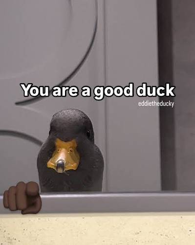 A duck being told “You are a good duck”